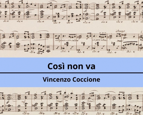 <h4>Così non va</h4></br><p>Vincenzo Coccione</p> 9 Cosi non va
