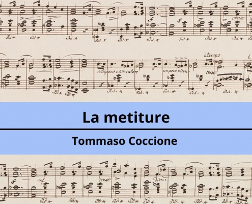 <h4>La metiture</h4></br><p>Vincenzo Coccione</p> 3 la mietiture Tommaso Coccione