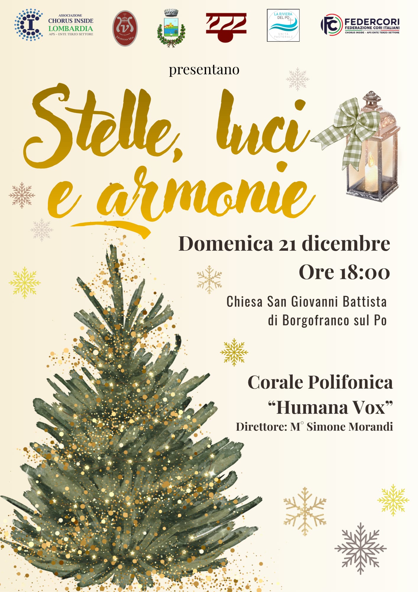 STELLE, LUCI E ARMONIE 1 597490094 876776631746801 8997835790617957609 n