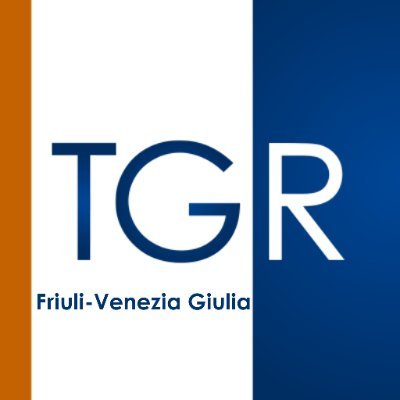 Articolo pubblicato dal Network RAI "TGR Friuli Venezia Giulia" 1